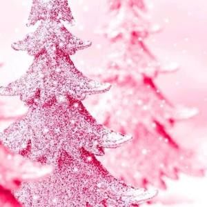 Meet your Posher, Jane